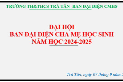 ĐẠI HỘI BAN ĐẠI DIỆN CHA MẸ HỌC SINH – NĂM HỌC 2024-2025